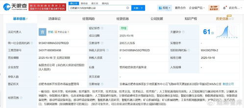 科大訊飛在合肥成立潮汐力科技公司，賦能信息系統集成服務